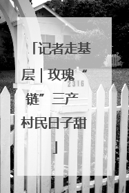 记者走基层｜玫瑰“链”三产 村民日子甜