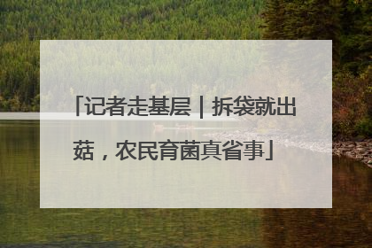记者走基层｜拆袋就出菇，农民育菌真省事
