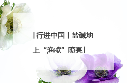 行进中国丨盐碱地上“渔歌”嘹亮