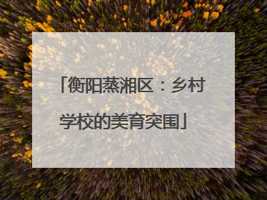衡阳蒸湘区：乡村学校的美育突围