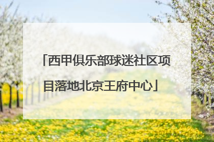 西甲俱乐部球迷社区项目落地北京王府中心