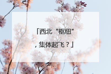 西北“枢纽”，集体起飞？