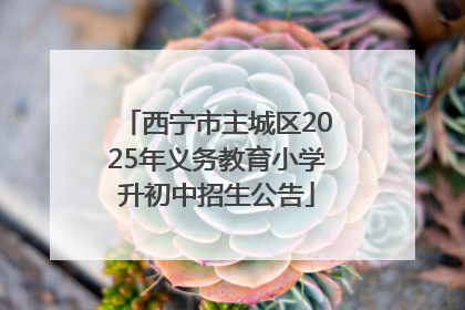 西宁市主城区2025年义务教育小学升初中招生公告