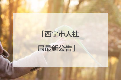 西宁市人社局最新公告