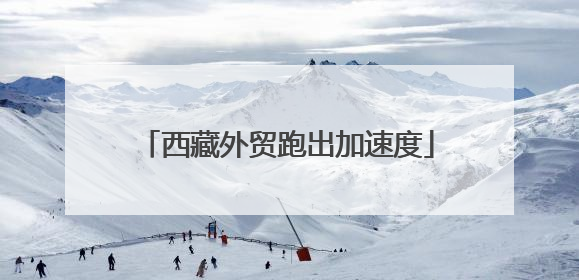 西藏外贸跑出加速度