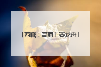 西藏：高原上赛龙舟