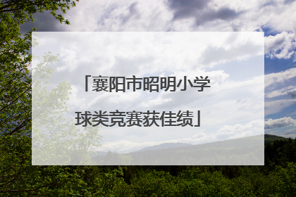 襄阳市昭明小学球类竞赛获佳绩