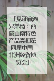 见证藏湘兄弟情：西藏山南特色产品亮相第四届中国-非洲经贸博览会