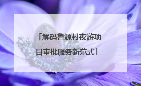 解码鲁源村夜游项目审批服务新范式