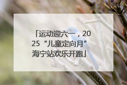运动迎六一，2025“儿童定向月”海宁站欢乐开跑