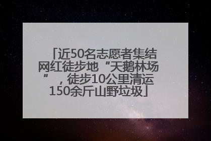 近50名志愿者集结网红徒步地“天鹅林场”，徒步10公里清运150余斤山野垃圾