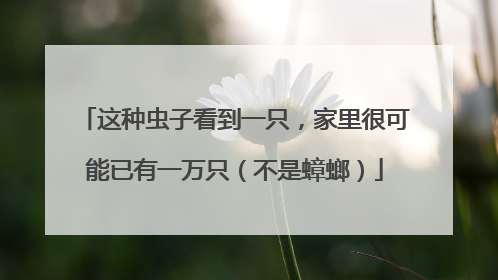 这种虫子看到一只，家里很可能已有一万只（不是蟑螂）