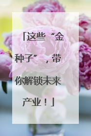 这些“金种子”，带你解锁未来产业！