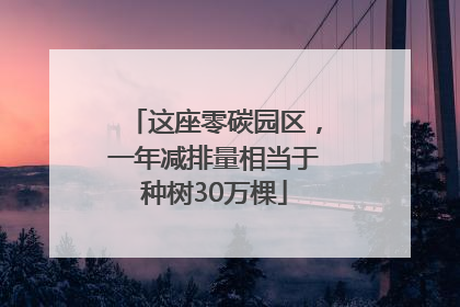 这座零碳园区，一年减排量相当于种树30万棵