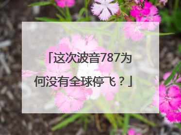 这次波音787为何没有全球停飞？