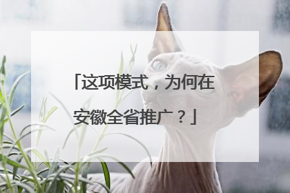 这项模式，为何在安徽全省推广？