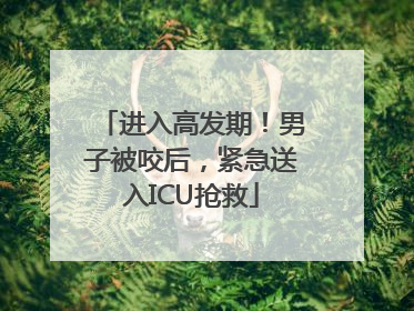 进入高发期！男子被咬后，紧急送入ICU抢救