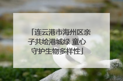 连云港市海州区亲子共绘港城绿 童心守护生物多样性