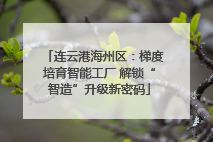 连云港海州区：梯度培育智能工厂 解锁“智造”升级新密码