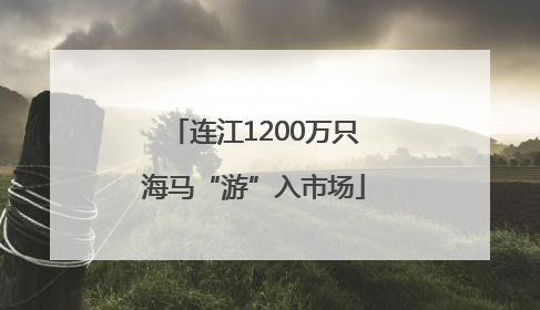 连江1200万只海马“游”入市场
