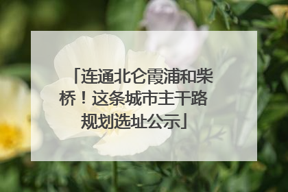 连通北仑霞浦和柴桥！这条城市主干路规划选址公示