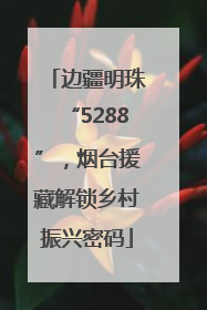 边疆明珠“5288”，烟台援藏解锁乡村振兴密码