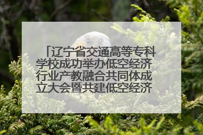 辽宁省交通高等专科学校成功举办低空经济行业产教融合共同体成立大会暨共建低空经济产教融合新生态论坛