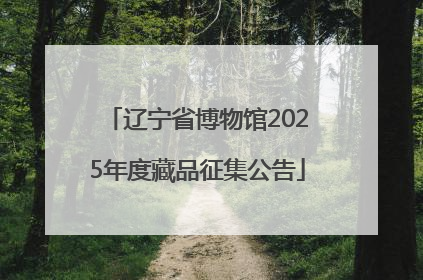 辽宁省博物馆2025年度藏品征集公告