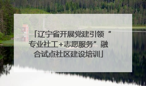 辽宁省开展党建引领“专业社工+志愿服务”融合试点社区建设培训