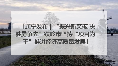 辽宁发布｜“振兴新突破 决胜勇争先”铁岭市坚持“项目为王”推进经济高质量发展