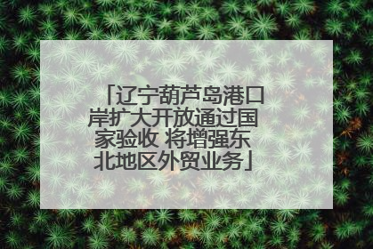 辽宁葫芦岛港口岸扩大开放通过国家验收 将增强东北地区外贸业务