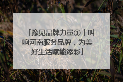 豫见品牌力量③丨叫响河南服务品牌，为美好生活赋能添彩
