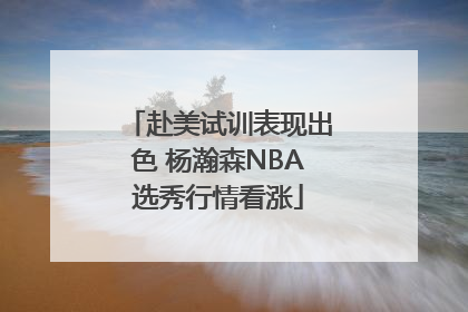 赴美试训表现出色 杨瀚森NBA选秀行情看涨