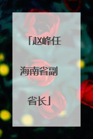 赵峰任海南省副省长