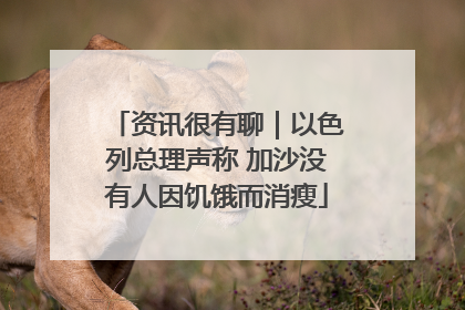 资讯很有聊｜以色列总理声称 加沙没有人因饥饿而消瘦