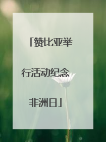 赞比亚举行活动纪念非洲日
