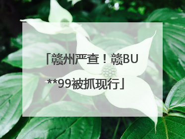 赣州严查！赣BU**99被抓现行