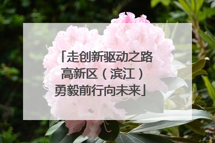 走创新驱动之路 高新区（滨江）勇毅前行向未来