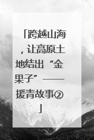 跨越山海，让高原土地结出“金果子”——援青故事②
