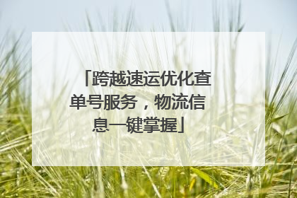 跨越速运优化查单号服务，物流信息一键掌握