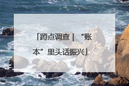 蹲点调查｜“账本”里头话振兴