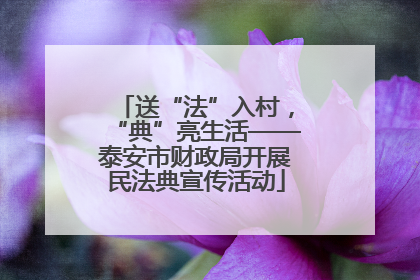 送“法”入村，“典”亮生活——泰安市财政局开展民法典宣传活动