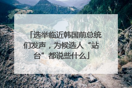 选举临近韩国前总统们发声，为候选人“站台”都说些什么