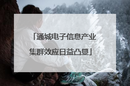 通城电子信息产业集群效应日益凸显