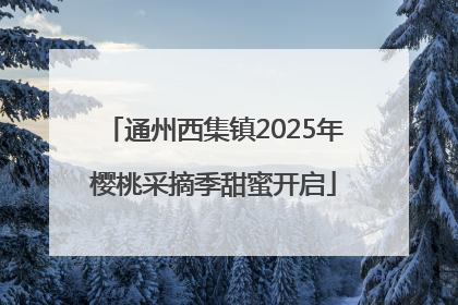 通州西集镇2025年樱桃采摘季甜蜜开启