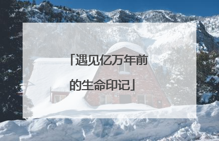 遇见亿万年前的生命印记