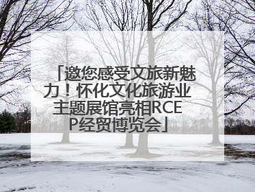 邀您感受文旅新魅力！怀化文化旅游业主题展馆亮相RCEP经贸博览会