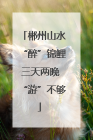 郴州山水“醉”锦鲤 三天两晚“游”不够