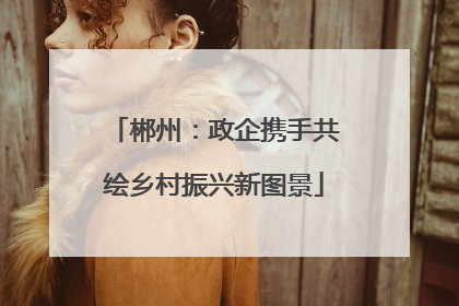 郴州：政企携手共绘乡村振兴新图景
