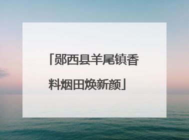 郧西县羊尾镇香料烟田焕新颜